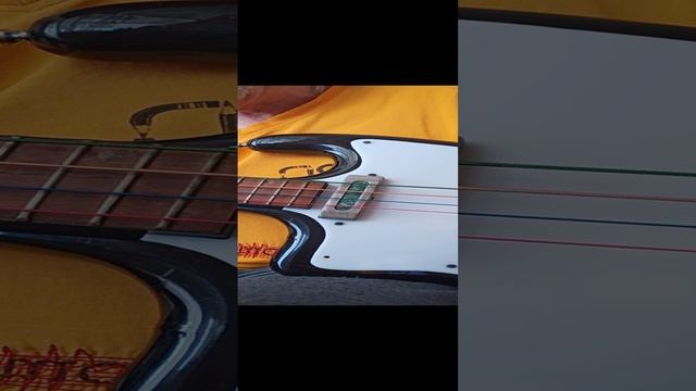 VID20230404120447.mp4