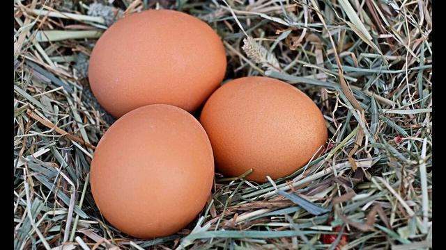 Где самые дешёвые Куриные Яйца в Мире, а где самые дорогие смотреть онлайн
