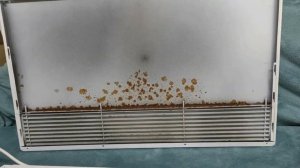 ДЕФЕКТ конвектора Noirot. (Noirot convector DEFECT.)