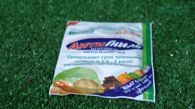 Антигниль - применение биопрепарата смотреть онлайн