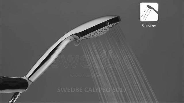 Душевая лейка Swedbe Calypso арт.5017, 5 режимов смотреть онлайн