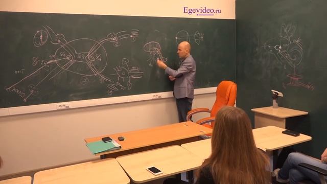 Доли коры смотреть онлайн