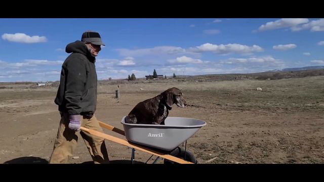 Warm weather - time to do the landscaping / Потеплело - пора заняться облагораживанием участка смотреть онлайн