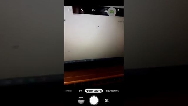 Рабочие Промокоды в роблоксе Октября На голову кота смотреть онлайн