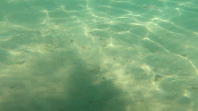 Море, море, мир бездонный. ц. смотреть онлайн