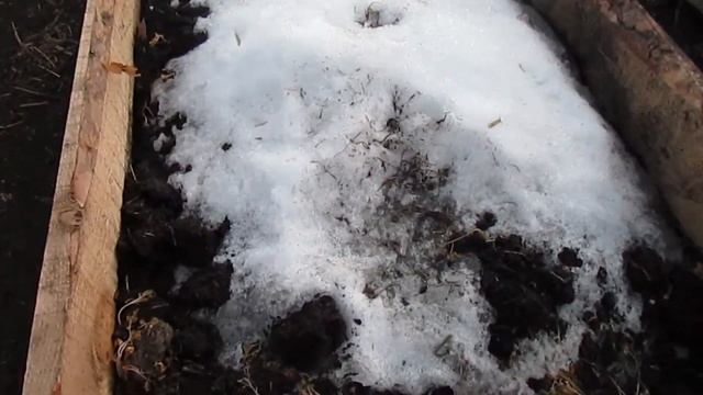 ОБЗОР ТЕПЛИЦЫ ФЕВРАЛЬ 2020 ГОДА!!! смотреть онлайн