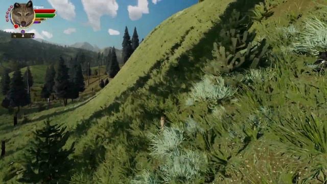 Errors in Judgement | WolfQuest Wayfinders: Pigeon's Quest #10 смотреть онлайн