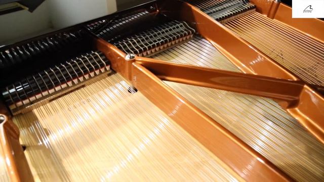Bösendorfer смотреть онлайн