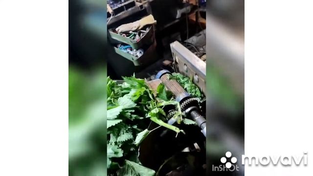 траворез идеальная модель. смотреть онлайн