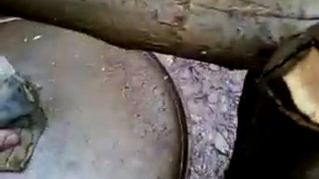 Охота в зарайске.mp4 смотреть онлайн