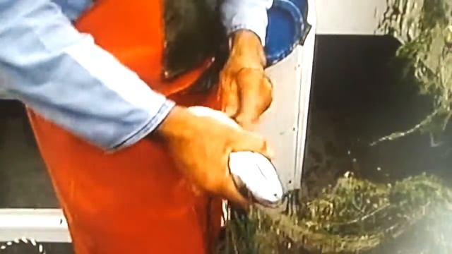 Кулинарная студия с Алиной