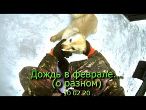 Дождь в феврале (о разном) 10 02 20