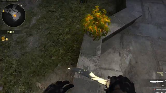 Стелсовые закладки бомбы в CS:GO смотреть онлайн