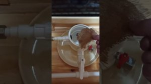 Как я заделал фитобочку.