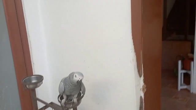 3/Как доехать с Mале до островa Маaфуши?? хороший дешёвый гестхаус❗ NALA ISLAND VILLAGE❗ ?? Мальдив смотреть онлайн