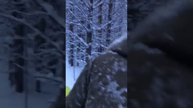 Буран с двигателем Лончин 30 л.с. смотреть онлайн