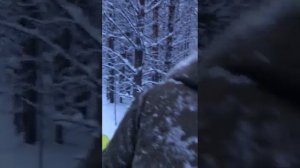 Буран с двигателем Лончин 30 л.с.