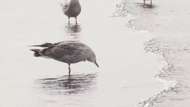 Сила мысли. Все наши мысли материальны… смотреть онлайн