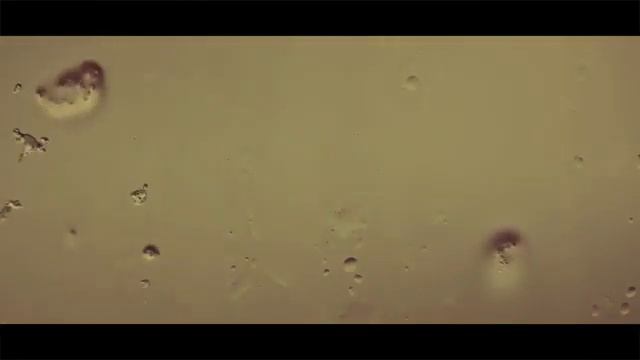 ШУМ ДОЖДЯ для сна 10 часов/ Rain Sounds 10 Hours for Relaxation and Sleep ASMR ЗВУКИ ДОЖДЯ смотреть онлайн