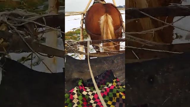 Еду на лошади в лес на прогулку смотреть онлайн