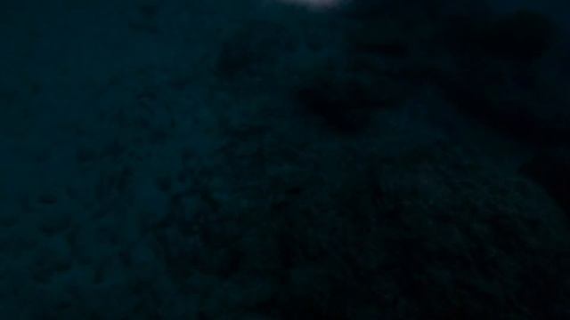 Выжить [2 Часть] Поймал Рыбу на гавайку. Ловлю сухопутных гигантских крабов, на новом острове. №3 смотреть онлайн