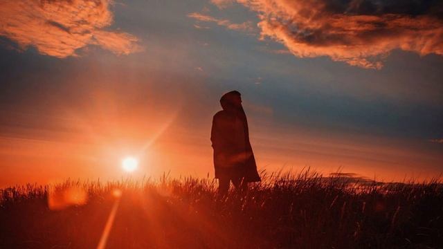 Алексей Мандельштам -  Я не с Вами (Признание)