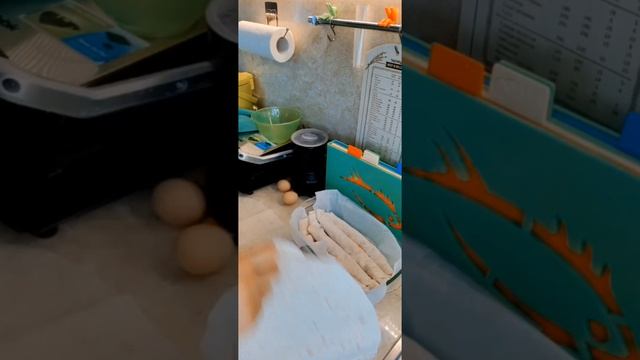 пп рулет-пирог.