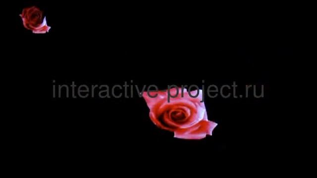 Интерактивная стена цветы