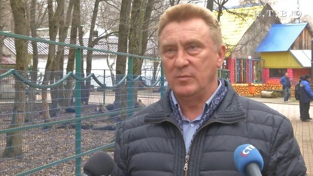 В Ставрополе родился верблюжонок смотреть онлайн
