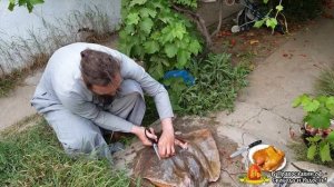 ШАШЛЫК ИЗ СКАТА. Морской кот на костре. Просто и вкусно! Готовим вместе