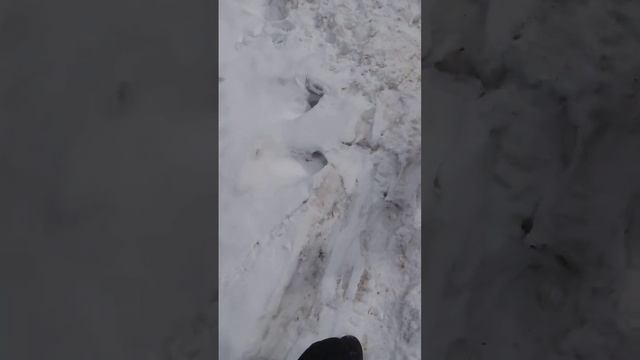 бурлак азимут, катки полеуретан смотреть онлайн