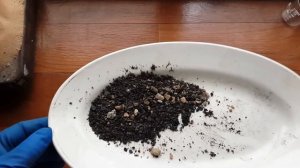 ДОБЫВАЮ ЗОЛОТО С ПОМОЩЬЮ МАГНИТА...