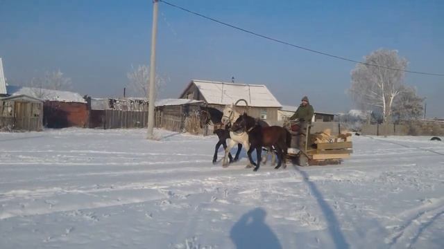 На тройке лошадей смотреть онлайн