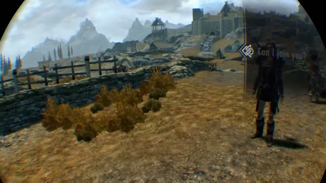 SunShine ProGamer playing skyrim vr смотреть онлайн