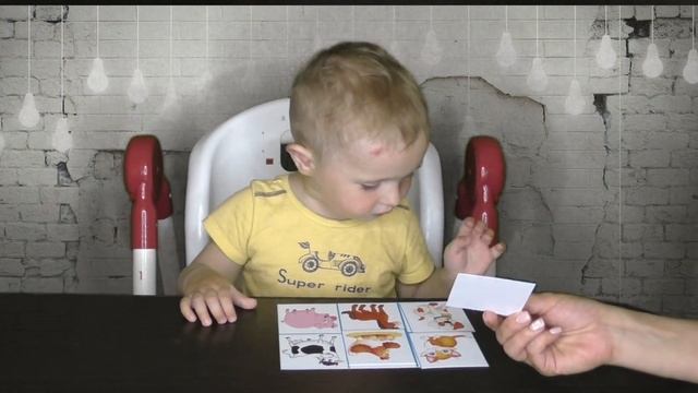 Лото. Домашние животные смотреть онлайн