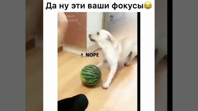 да ну васи фокусы смотреть онлайн
