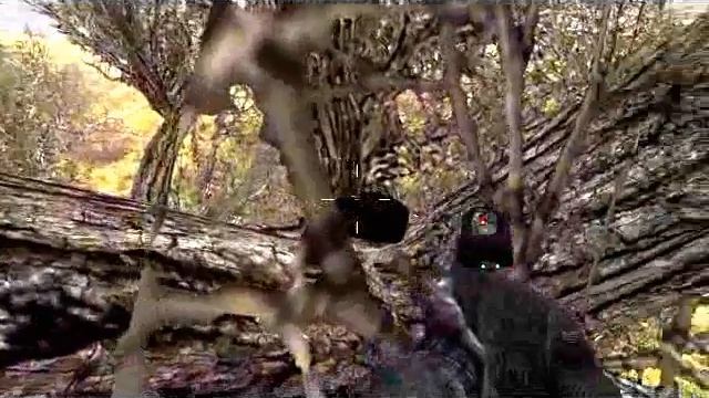 Тайник Коллекционера [640x480].flv смотреть онлайн