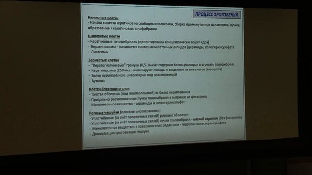 Консультация к первому коллоквиуму. В.В.Глинкина смотреть онлайн