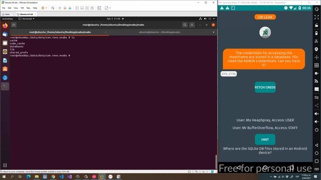 EVABS | Flag 6: DB Leak смотреть онлайн