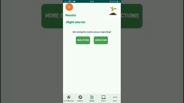 PlantSnap identifies a Yellow Marsh Marigold (Caltha palustris) смотреть онлайн