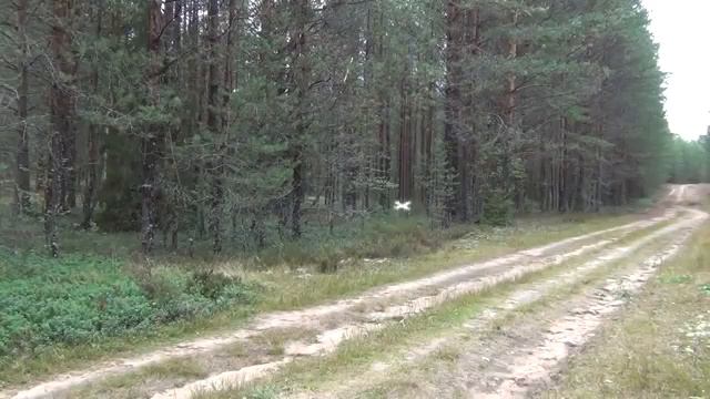 Радиоуправляемый квадрокоптер F 525 6 axis gyro, 2 4ггц 4ch смотреть онлайн