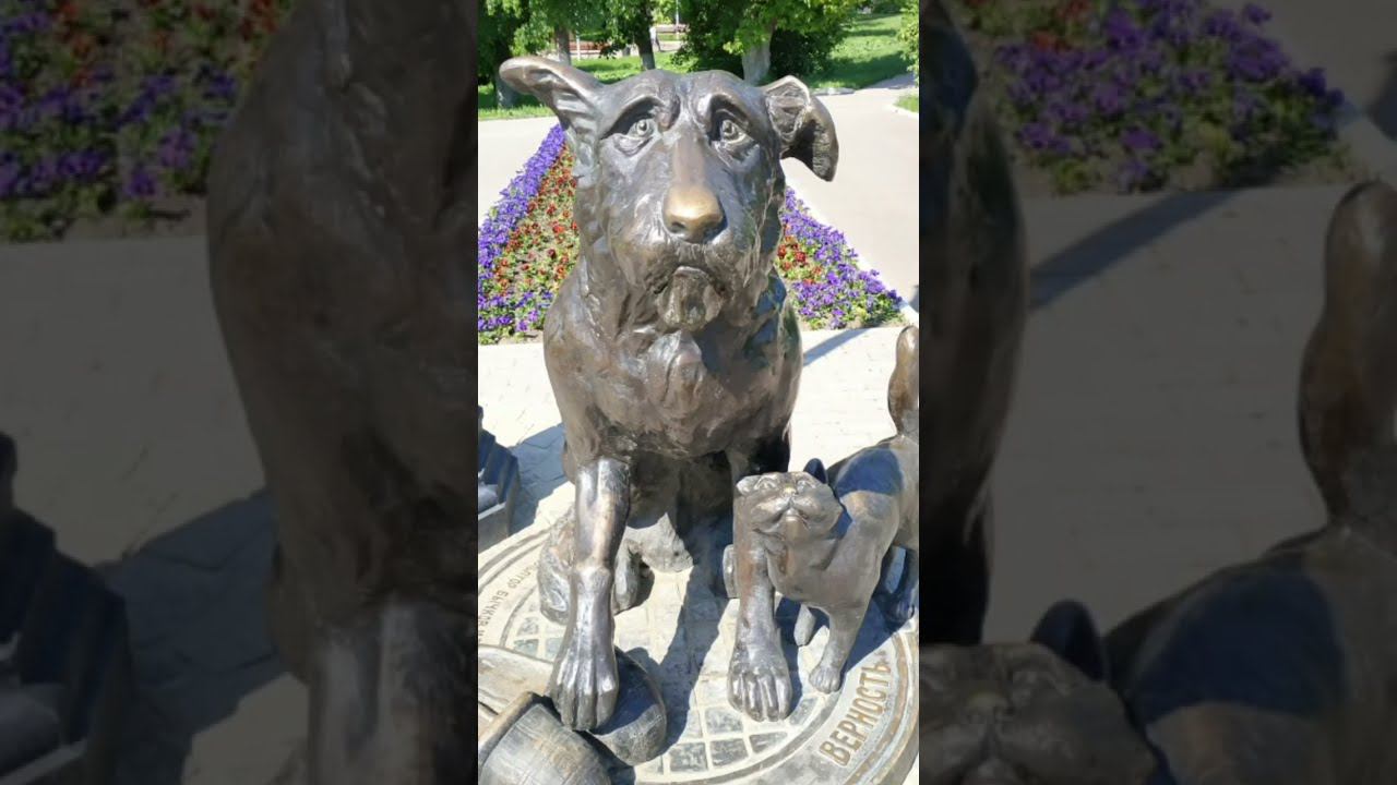 #shorts памятник бездомным животным 