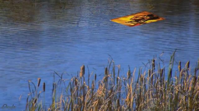 Погружение фотографии в воду смотреть онлайн