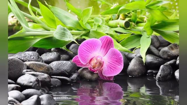 Рассвет, музыка для души, piano music, relax. смотреть онлайн