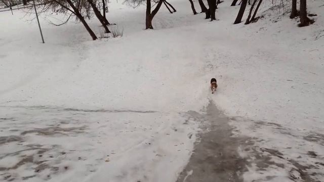 Акулка спуск лёд горка !) смотреть онлайн