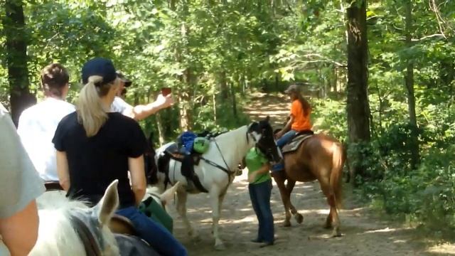 Trail Riding - Whispering Woods Riding Stables KY смотреть онлайн