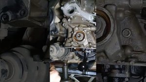 Замена цепи грм ниссан сани