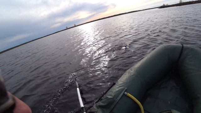 ВЕСЕННЯЯ ОХОТА НА УТКУ / ОХОТА НА КРАЙНЕМ СЕВЕРЕ / Duck hunting смотреть онлайн