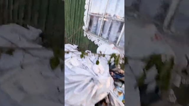 Купили убитую дачу.?♀️ Обзор домика. Ищем воду.#дачныедома #обзор #ключвлесу смотреть онлайн