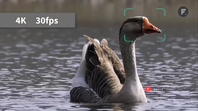 10 Coolest New Gadgets 2022 | You Must Have смотреть онлайн